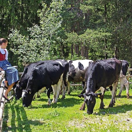 Niederhaeusererhof Falzes Zewnętrze zdjęcie