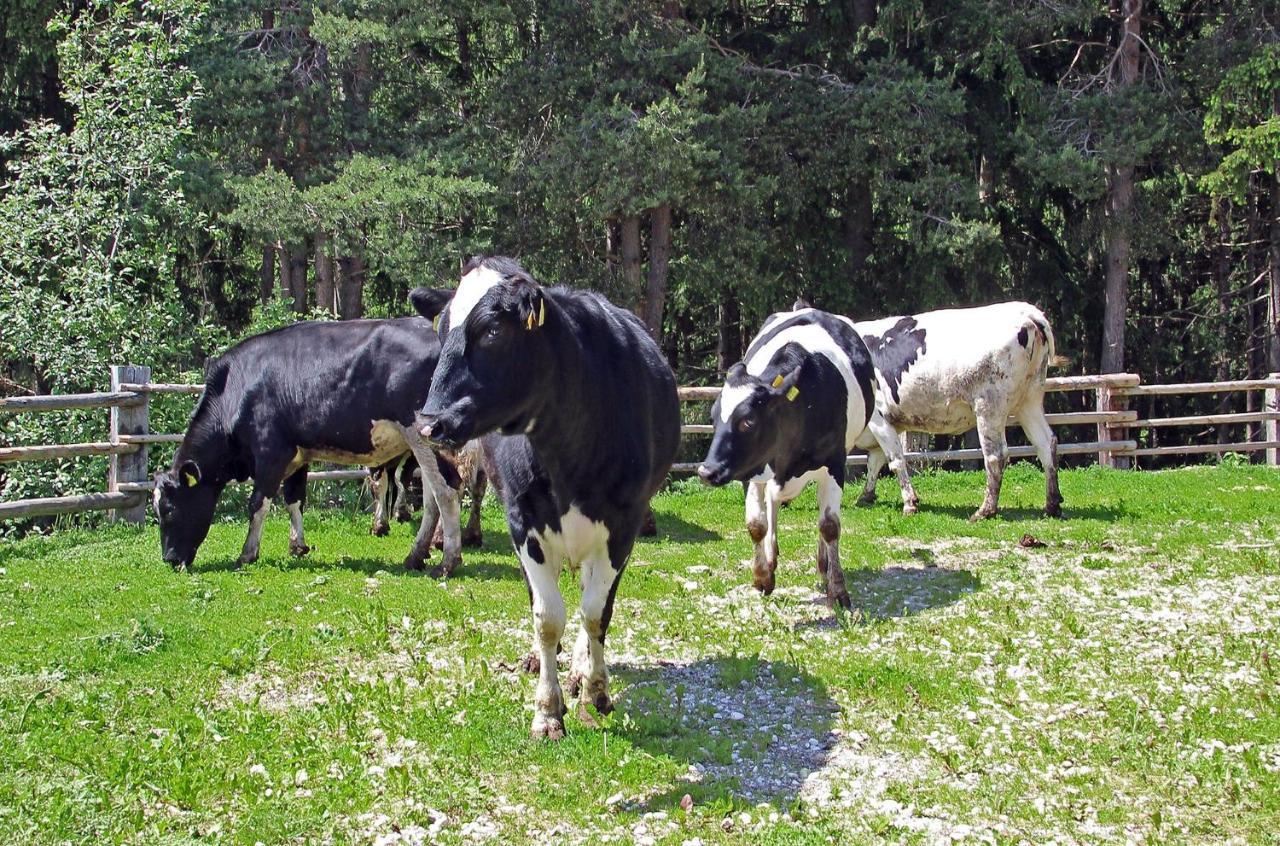 Niederhaeusererhof Falzes Zewnętrze zdjęcie