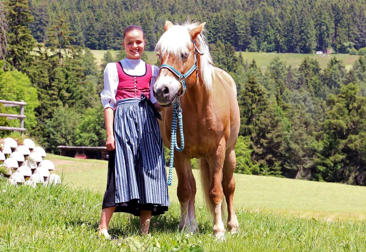 Niederhaeusererhof Falzes Zewnętrze zdjęcie