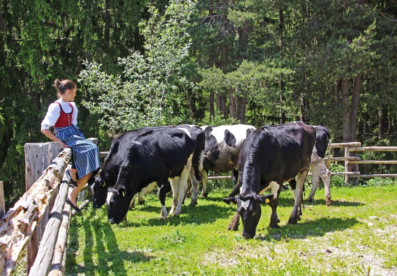 Niederhaeusererhof Falzes Zewnętrze zdjęcie